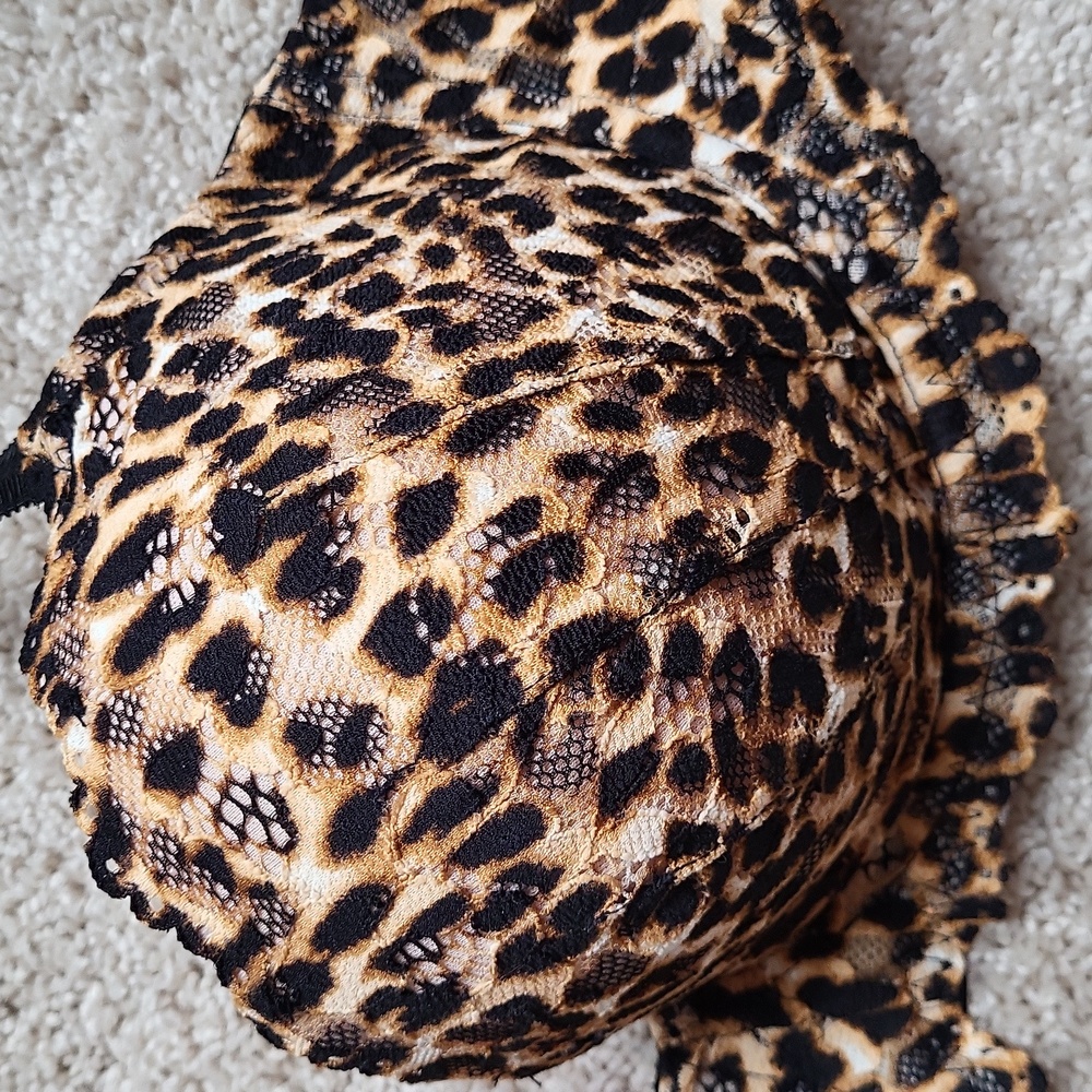 Leopard Print Bra - image 3